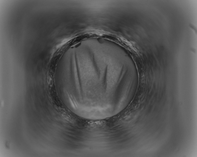 X0000091231303200708301506