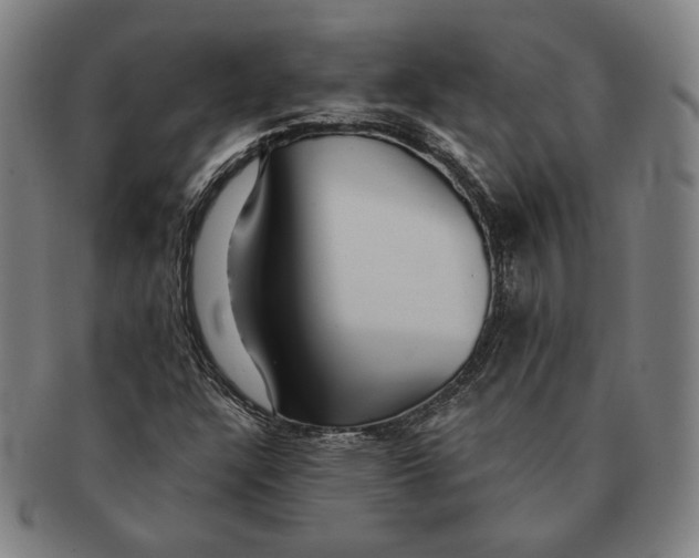 X0000091231304200708301506