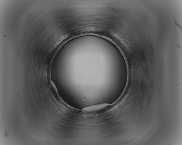 X0000091231305200708301506