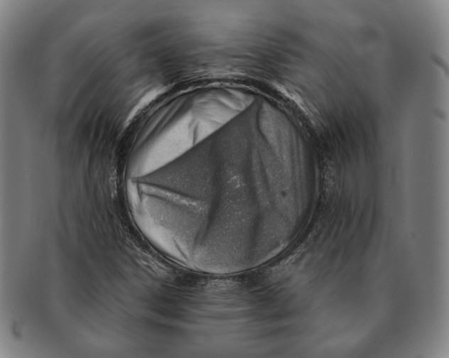X0000091231306200708301506