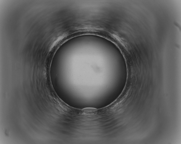 X0000091231307200708301506