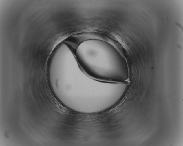 X0000091231308200708301506