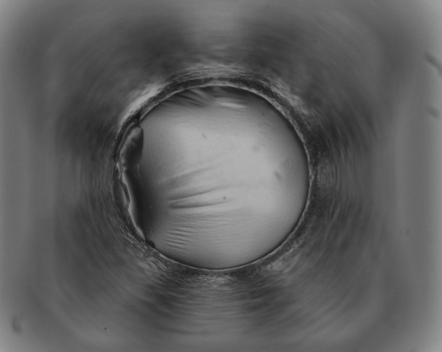 X0000091231309200708301506