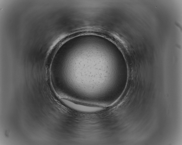 X0000091231310200708301506