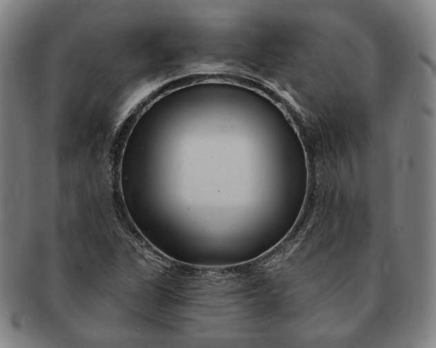 X0000091231311200708301506