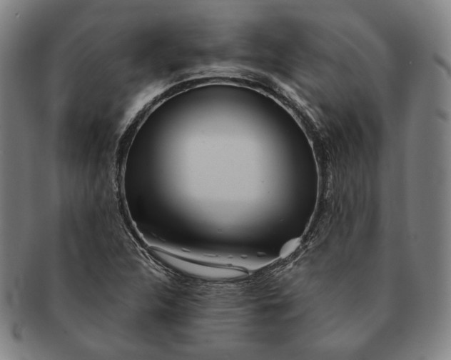 X0000091231312200708301506