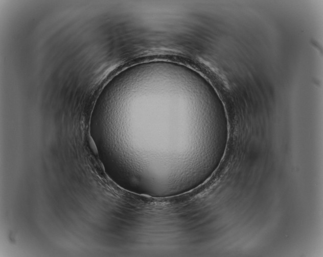 X0000091231313200708301507