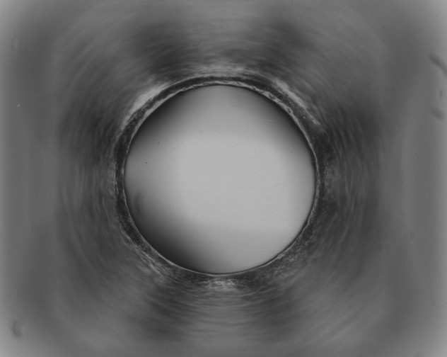 X0000091231315200708301507
