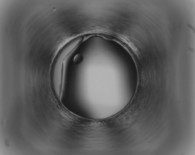 X0000091231316200708301507