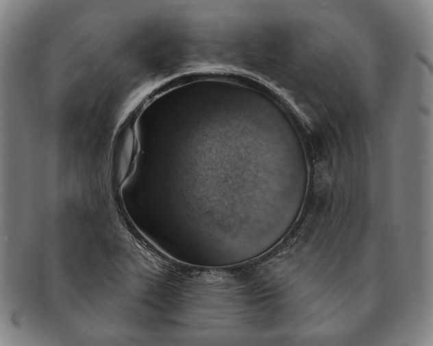 X0000091231319200708301507