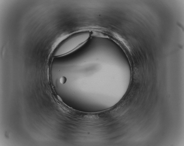 X0000091231320200708301507