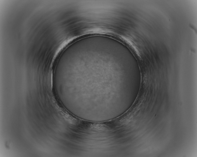 X0000091231323200708301507