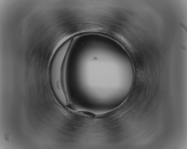 X0000091231324200708301507
