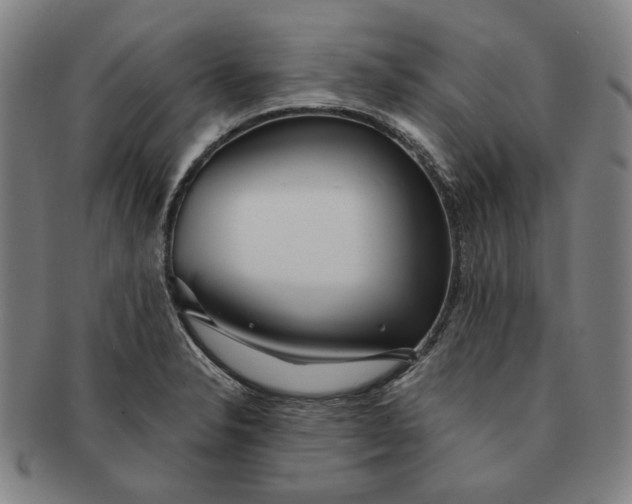 X0000091231326200708301507