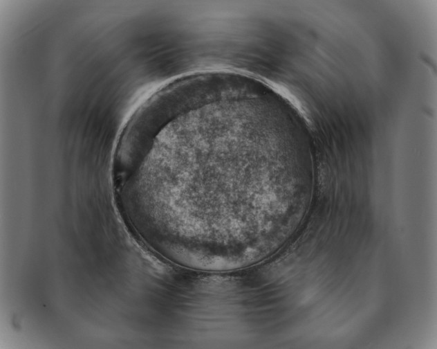 X0000091231327200708301507