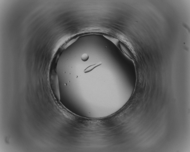 X0000091231328200708301507