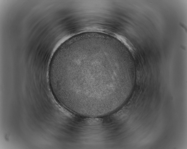 X0000091231331200708301507
