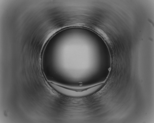 X0000091231332200708301507