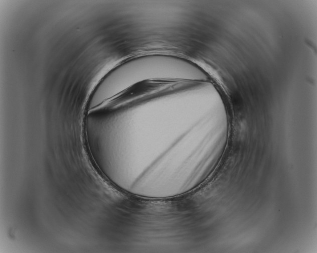 X0000091231333200708301507