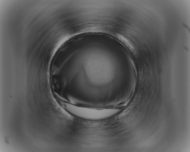 X0000091231334200708301507