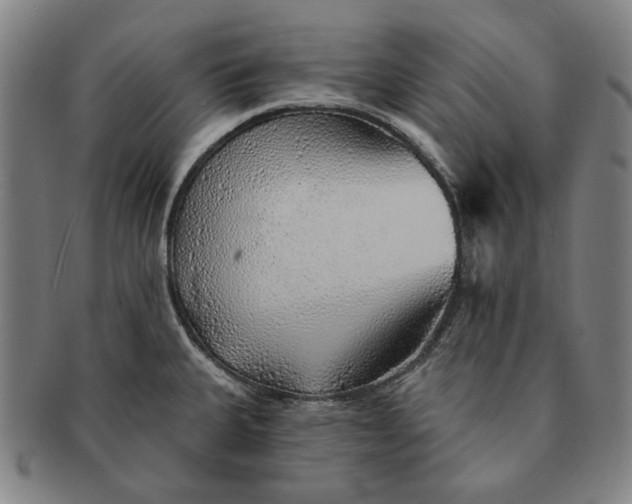 X0000091231335200708301507