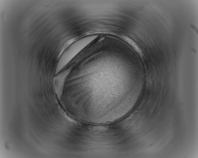 X0000091231337200708301507