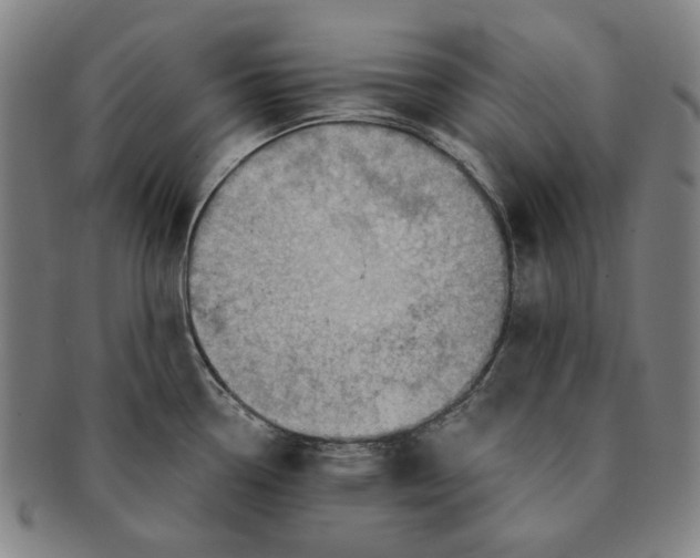 X0000091231338200708301507