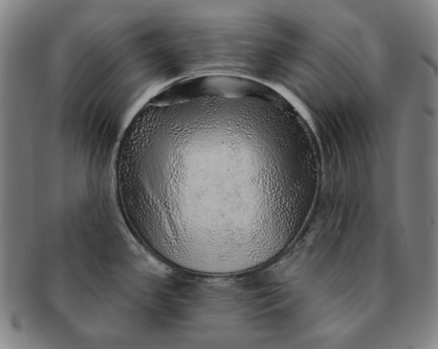X0000091231341200708301507