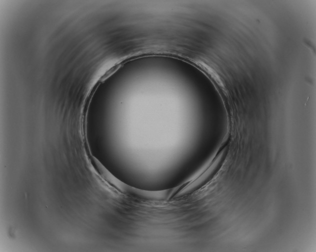 X0000091231342200708301507