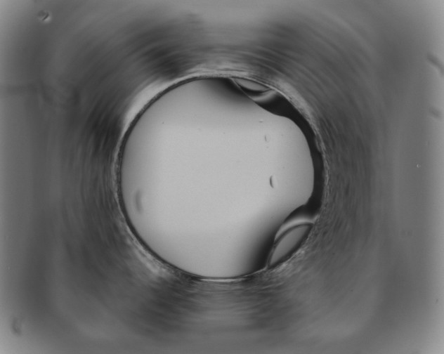 X0000091231344200708301507