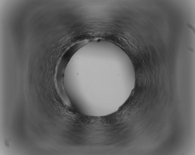 X0000091231345200708301506