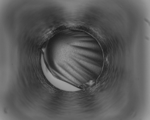 X0000091231348200708301506