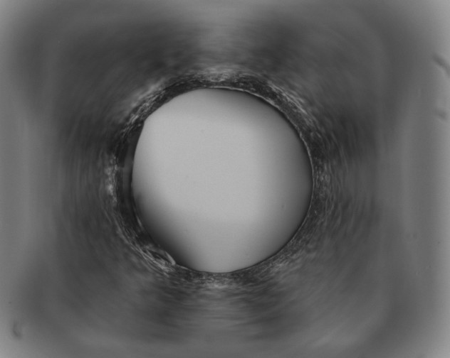 X0000091231349200708301506