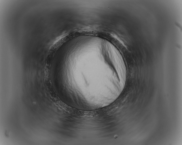 X0000091231350200708301506