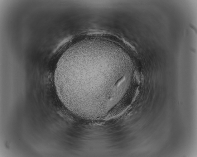 X0000091231351200708301506