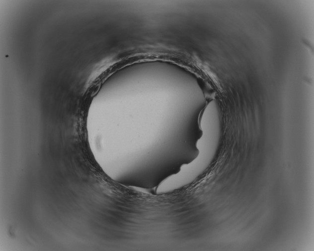 X0000091231352200708301506