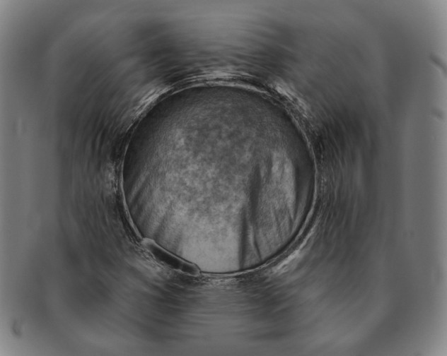 X0000091231353200708301506