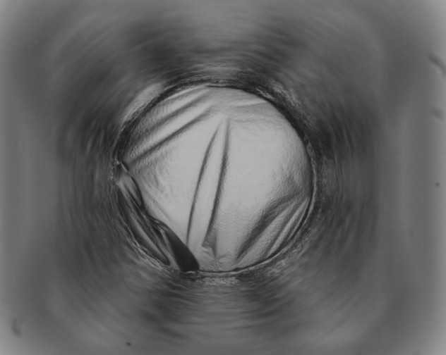 X0000091231354200708301506