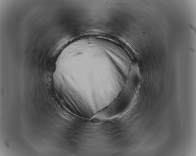 X0000091231355200708301506