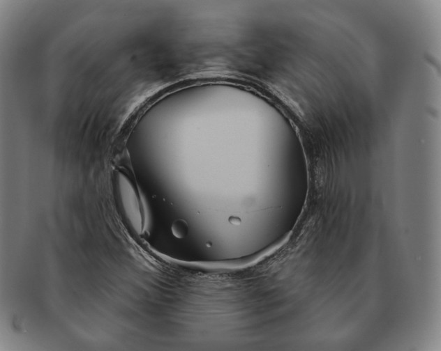 X0000091231356200708301506