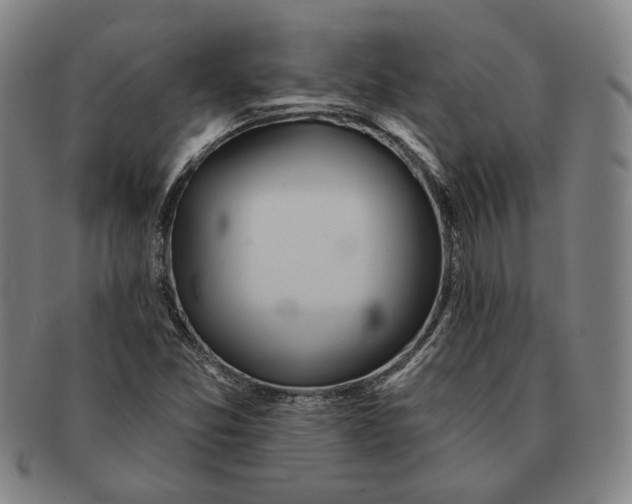 X0000091231357200708301506