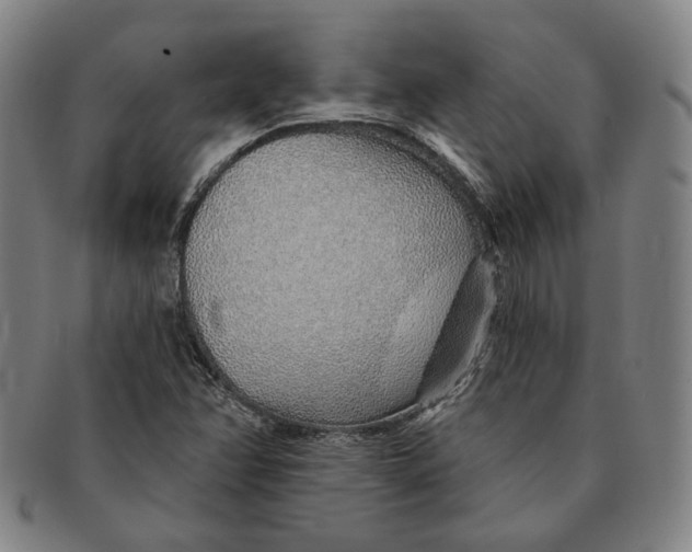 X0000091231358200708301506
