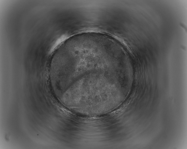 X0000091231359200708301506