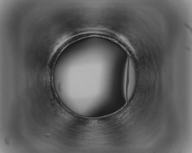 X0000091231360200708301506