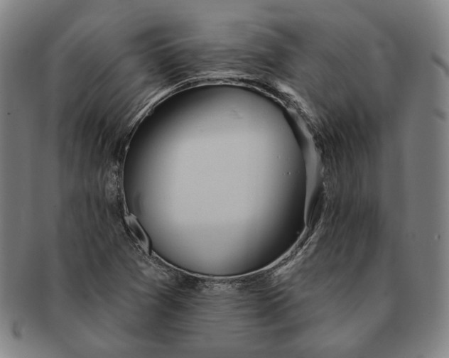 X0000091231361200708301506