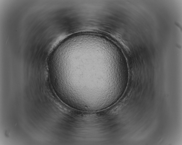X0000091231363200708301506