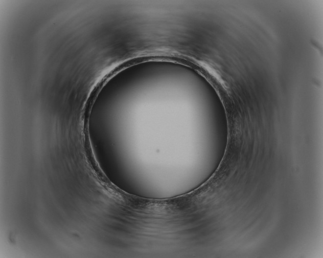 X0000091231364200708301506