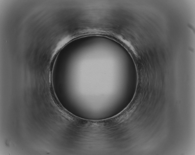 X0000091231365200708301506