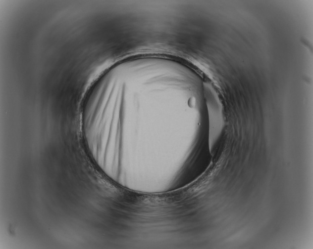 X0000091231366200708301506
