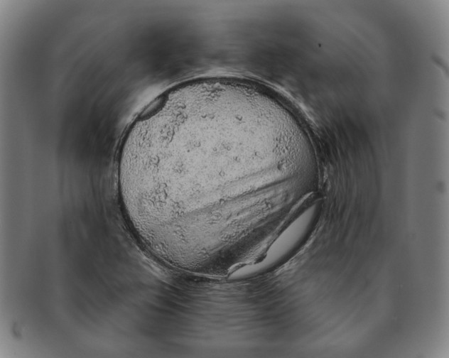 X0000091231367200708301506